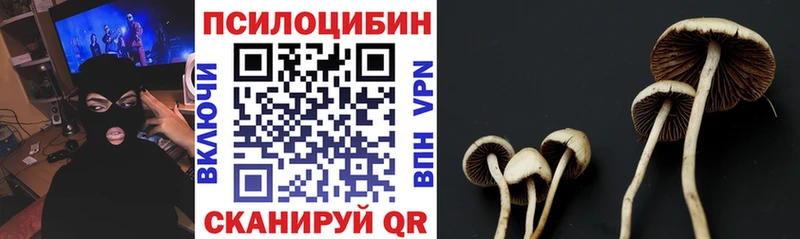 Псилоцибиновые грибы Magic Shrooms  omg вход  Омск 